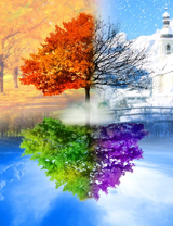 Без бренда «2KLB-6100» в Саранске