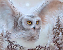 Без бренда «2KMB-3848» в Саранске