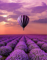 Без бренда «2KMB-4091» в Саранске