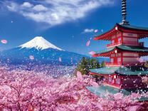 Без бренда «2KSB-7277» в Саранске