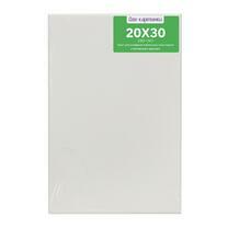 Без бренда «Коробка 80 шт.: Холст Две картинки на подрамнике 20X30» в Саранске