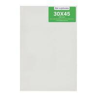 Без бренда «Коробка 40 шт.: Холст Две картинки на подрамнике 30X45» в Саранске в интернет-магазине Без бренда «Коробка 40 шт.: Холст Две картинки на подрамнике 30X45» в Саранске