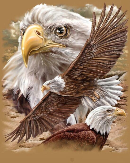 Алмазная мозаика 40x50 BOX20-2KMB-4315