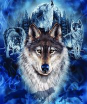 Без бренда «BOX40-2KXSB-0687» в Саранске