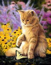 Без бренда «Рыжий котик играет с желтой бабочкой» в Саранске