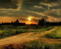Без бренда «Проселочная дорога на закате» в Саранске