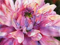 Без бренда «Пышный розовый цветок» в Саранске в интернет-магазине Без бренда «Пышный розовый цветок» в Саранске