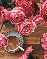 Без бренда «Букет пастельных роз и чашечка кофе» в Саранске