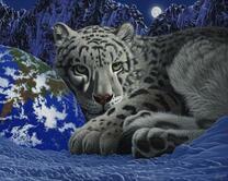 Без бренда «Снежный барс зимой» в Саранске