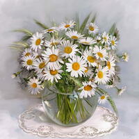 Без бренда «Букет свежих ромашек» в Саранске