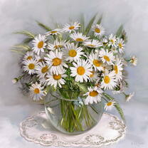 Без бренда «Букет свежих ромашек» в Саранске