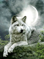 Без бренда «Коробка 25 шт. картин по номерам BOX25-GX21058» в Саранске