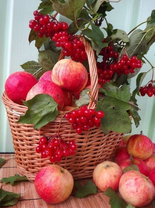 Без бренда «Коробка 25 шт. картин по номерам BOX25-GX5174» в Саранске