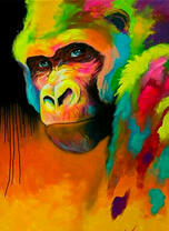 Разноцветная горилла