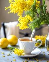 Без бренда «Мимоза и чай с лимонами» в Саранске