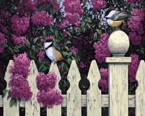 Синички у цвета сирени