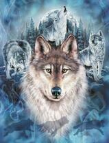 Без бренда «Волки и тёмный ночной лес» в Саранске