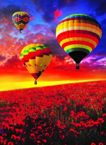 Полет воздушных шаров над полем маков