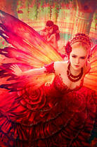 Краснокрылая фея