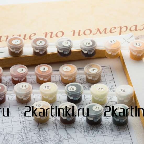 Картина по номерам 40x50 Test4