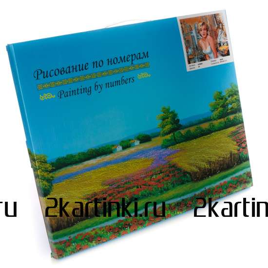 Картина по номерам 40x50 Test4