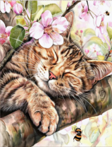 Без бренда «Волосатый котик спит на ветви яблони» в Саранске в интернет-магазине  Без бренда «Волосатый котик спит на ветви яблони» в Саранске