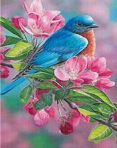 Синяя птичка на цветущей вишне