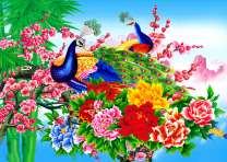 Павлины среди букета из роз и сакуры